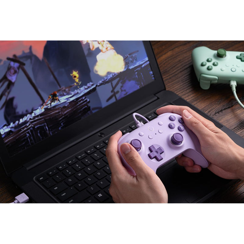 Afbeelding laden in galerijviewer, 8bitdo ultimate 2c wired gamepad (lila)
