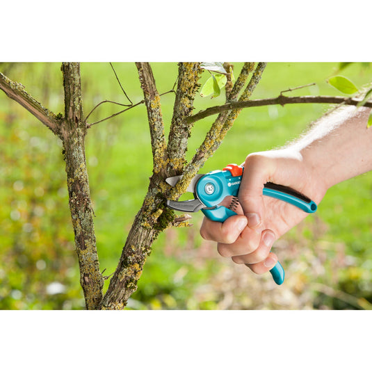Gardena classic snoeischaar a s (turquoise, 8855-20)