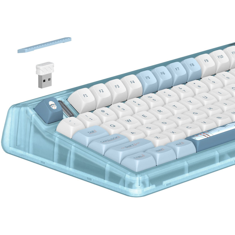 Afbeelding laden in galerijviewer, Iqunix og80 wintertide wireless mechanical keyboard (lichtblauw, us lay-out (qwerty), iqunix moonstone, 80% (tkl), rgb leds, hot-swappable, pbt, 2.4ghz | bluetooth 5.1 | usb-c)
