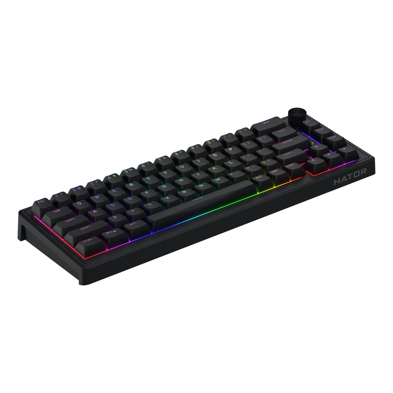 Afbeelding laden in galerijviewer, Hator skyfall wired rgb mechanisch gaming toetsenbord (zwart, us lay-out (qwerty), hator aurum sterling, 65%, rgb, double shot abs, hot-swap)
