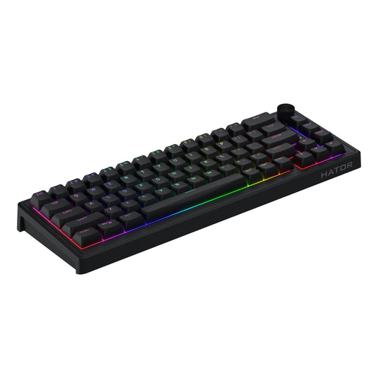 Hator skyfall wired rgb mechanisch gaming toetsenbord (zwart, us lay-out (qwerty), hator aurum sterling, 65%, rgb, double shot abs, hot-swap)
