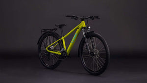 Cube acid 260 disc fe lizard´n´blue