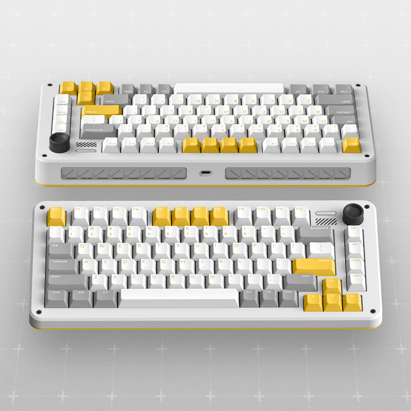 Afbeelding laden in galerijviewer, Ty iqunix zx75 gravi wave wireless mechanical keyboard (grijs, us lay-out (qwer), gateron red, 75%, rgb leds, hot-swappable, double-shot pbt, 2.4ghz | bluetooth 5.1 | usb-c)
