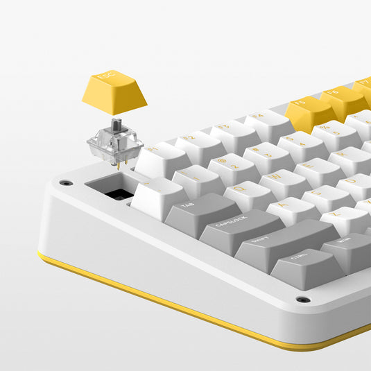 Ty iqunix zx75 gravi wave wireless mechanical keyboard (grijs, us lay-out (qwer), gateron red, 75%, rgb leds, hot-swappable, double-shot pbt, 2.4ghz | bluetooth 5.1 | usb-c)
