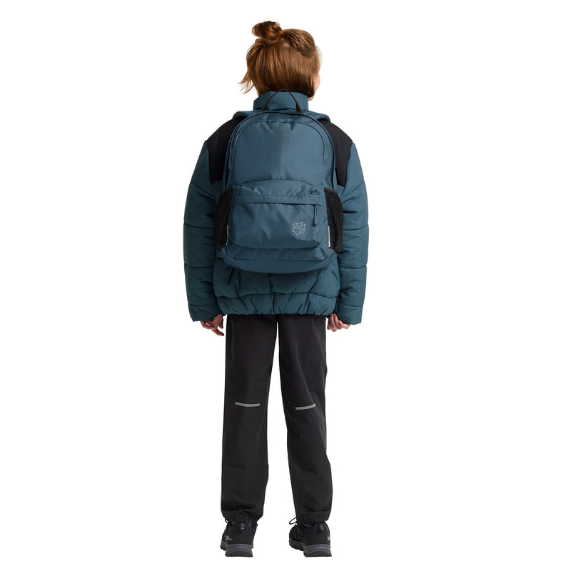 Afbeelding laden in galerijviewer, Jack wolfskin rebel pack 25 rugzak (blauw)
