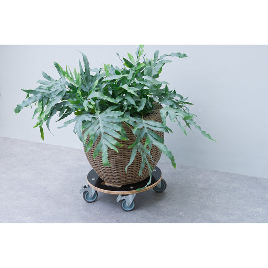 Nature planttrolley rond rolplank (zwart)