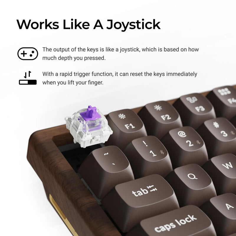 Afbeelding laden in galerijviewer, Keychron k2he all-wood special edition mechanisch toetsenbord (houtkleur, us lay-out (qwerty), gateron double-rail magnetic nebula, 75%, gateron double-rail magnetic, osa pbt double-shot, hot swap, bluetooth 5.2 | usb-c)
