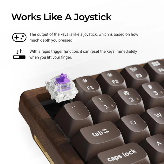 Keychron k2he all-wood special edition mechanisch toetsenbord (houtkleur, us lay-out (qwerty), gateron double-rail magnetic nebula, 75%, gateron double-rail magnetic, osa pbt double-shot, hot swap, bluetooth 5.2 | usb-c)