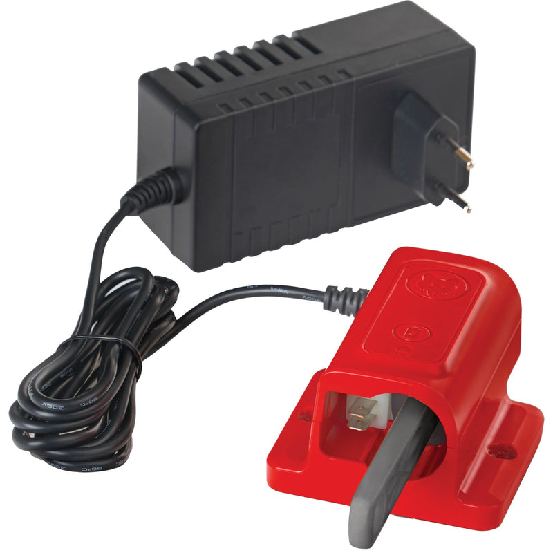 Afbeelding laden in galerijviewer, Wolf-garten qc 25 em e-multi-star wandlaadstation oplaadstation (rood)
