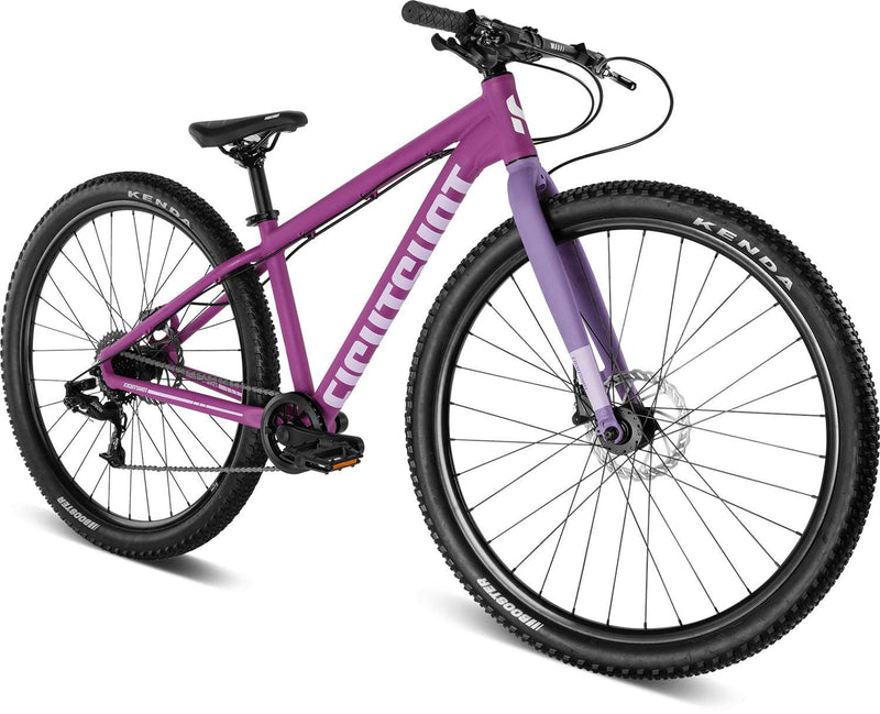 Afbeelding laden in galerijviewer, Eightshot coady 275 sl disc
