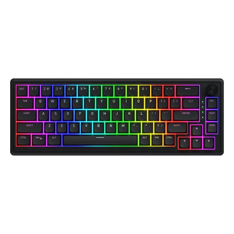 Afbeelding laden in galerijviewer, Hator skyfall wired rgb mechanisch gaming toetsenbord (zwart, us lay-out (qwerty), hator aurum sterling, 65%, rgb, double shot abs, hot-swap)
