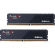 G.skill flare x5 32 gb ddr5-6400 (2x 16 gb) werkgeheugen (zwart, f5-6400j3239g16gx2-fx5, expo)