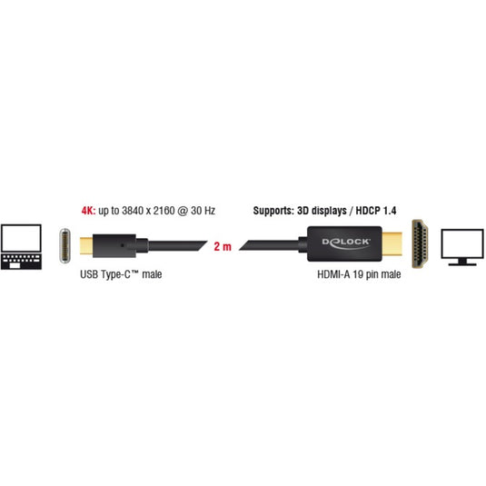 Delock usb-c naar hdmi kabel (zwart, 2 meter, 4k 30 hz, dp alt mode)