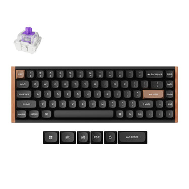 Keychron k6 he-f1 rgb mechanisch toetsenbord (zwart, us lay-out (qwerty), gateron double-rail magnetic nebula, 65%, rgb leds, osa double-shot pbt, hot swap, usb-c | 2.4 ghz | bluetooth 5.1)