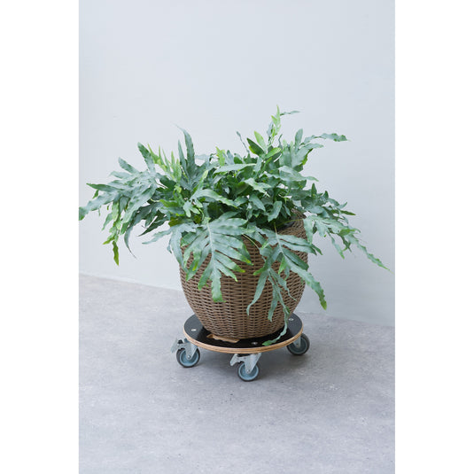 Nature planttrolley rond rolplank (zwart)