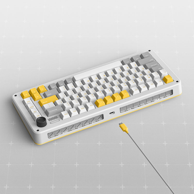 Afbeelding laden in galerijviewer, Ty iqunix zx75 gravi wave wireless mechanical keyboard (grijs, us lay-out (qwer), gateron red, 75%, rgb leds, hot-swappable, double-shot pbt, 2.4ghz | bluetooth 5.1 | usb-c)
