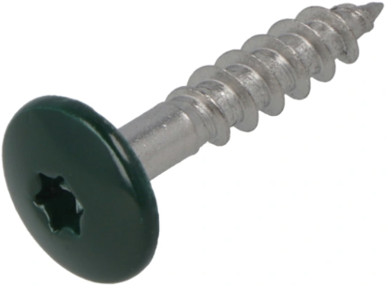 Afbeelding laden in galerijviewer, Hoenderdaal fasteners hoenderdaal hpl schroef rvs-a2 torx tx20 dennengroen ral6009 4.8x25 | 100 stuks - 0346.30.37122
