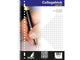 Kangaro collegeblok a4 ruit 10mm 23 ring 5 stuks