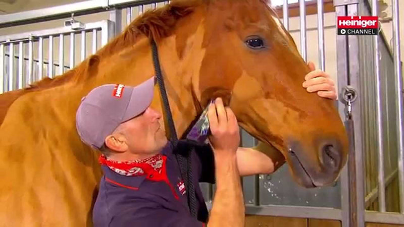 Afbeelding laden in galerijviewer, Heiniger producten scheermachine progress paard 23 31tds

