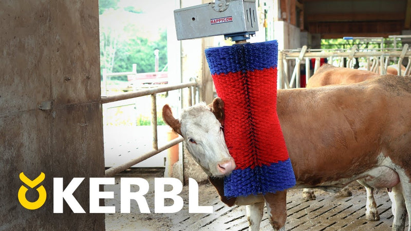 Afbeelding laden in galerijviewer, Producten happycow koeborstel maxiswing
