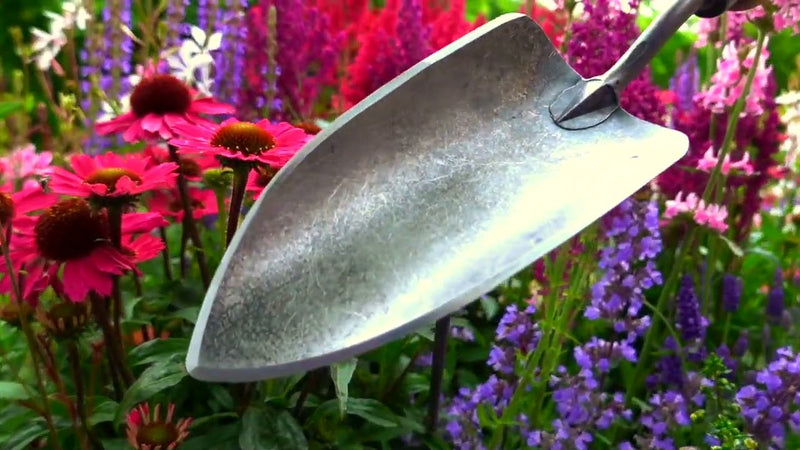 Afbeelding laden in galerijviewer, De wit producten plantenschepje x treme essenhandvat 14cm dewit
