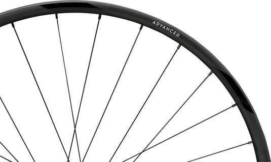 Newmen advanced sl x.r.25 cl fade r 29 rear wheel