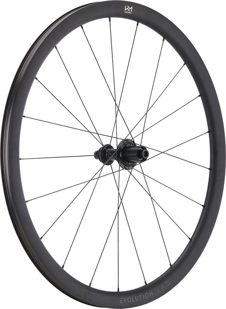 Afbeelding laden in galerijviewer, Newmen evolution sl r.35 fade r sj cl 12x142 rear wheel
