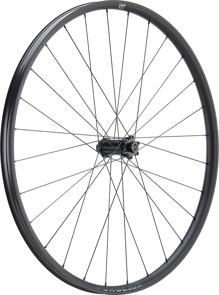 Afbeelding laden in galerijviewer, Newmen forge 30 light xc 29 6-bolt 15x110 fade front wheel
