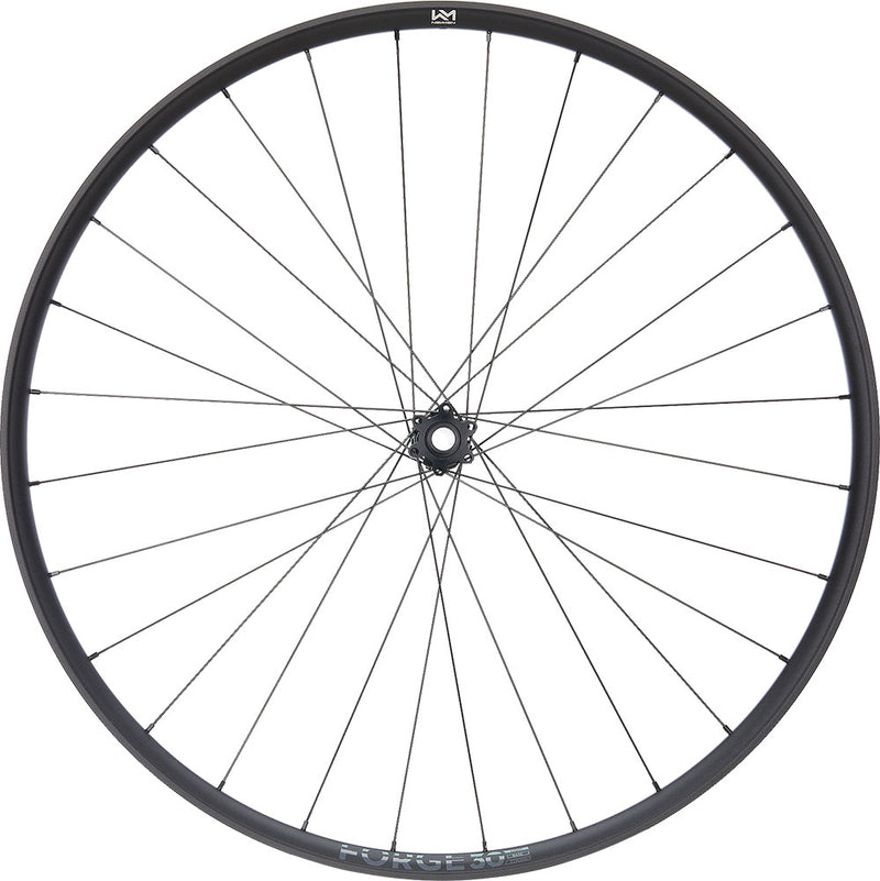 Afbeelding laden in galerijviewer, Newmen forge 30 light xc 29 6-bolt 15x110 fade front wheel
