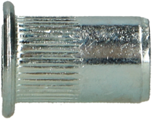 Pgb-europe pgb-fasteners | blindklinkmoer cilindr. kop m6x14,5 zn rivn12001006000143