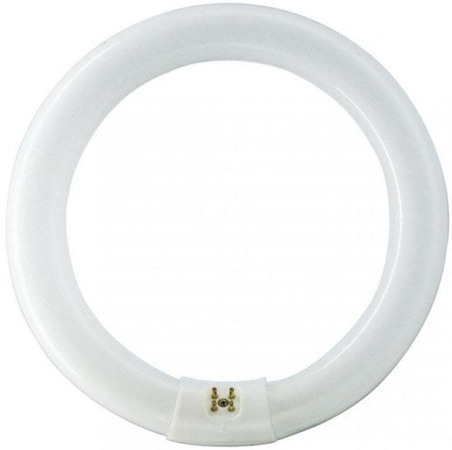 Philips ronde tl 40w 840 tle coolwhite 5900617