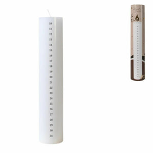 Senza adventskaars wit 5 x 25 cm | 12 stuks