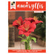 Dcwv • project stacks amaryllis