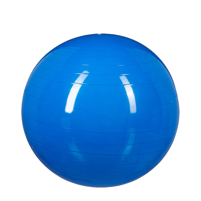 Afbeelding laden in galerijviewer, Relaxdays gymnastiekbal blauw ø55cm
