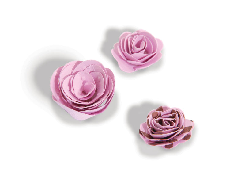 Afbeelding laden in galerijviewer, Sizzix • bigz die 3-d flowers
