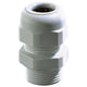 Wiska sprintwartel pg16