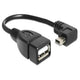 Mini usb adapter omvormer