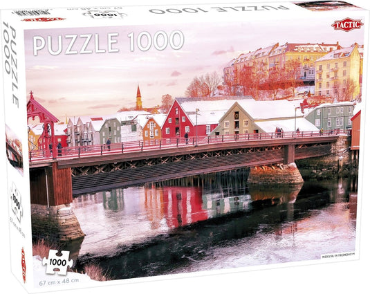 Tactic puzzel - nidelva in trondheim - 1000 stukjes