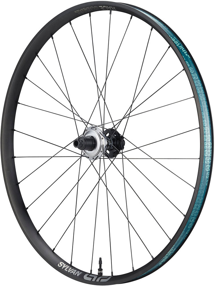 Afbeelding laden in galerijviewer, E*thirteen sylvan sidekick race all mountain 29 rear wheel
