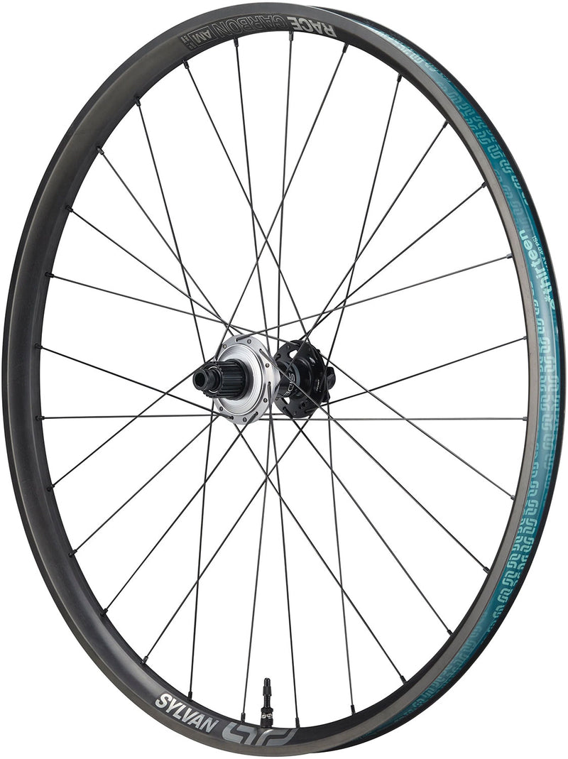 Afbeelding laden in galerijviewer, E*thirteen sylvan sidekick race all mountain carbon 12x148mm 29 hinterrad
