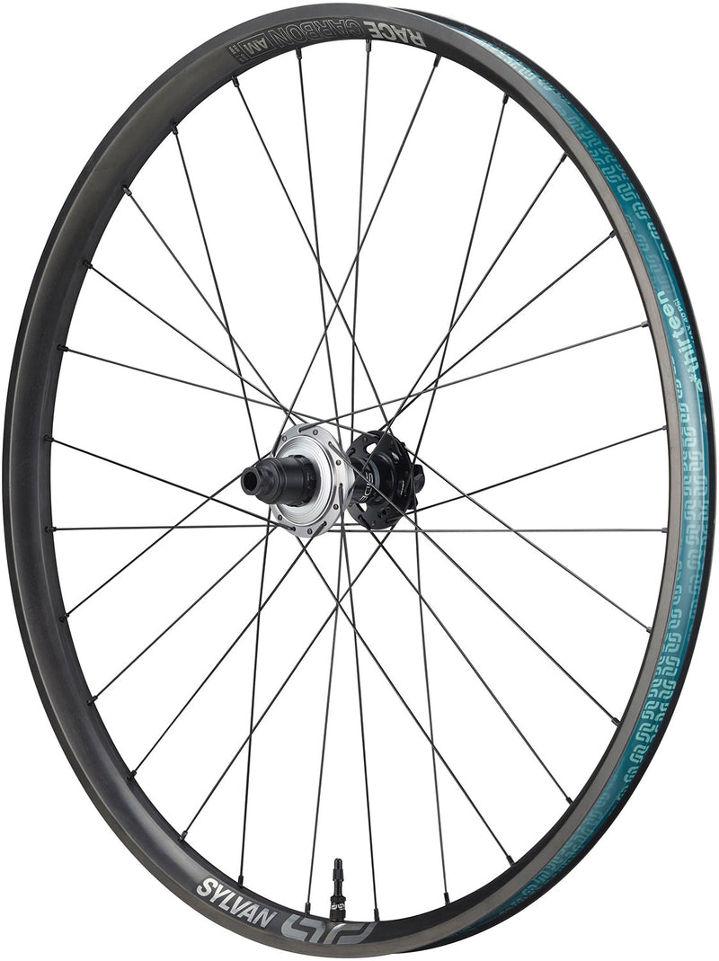 Afbeelding laden in galerijviewer, E*thirteen sylvan sidekick race all mountain carbon 12x148mm 29 hinterrad
