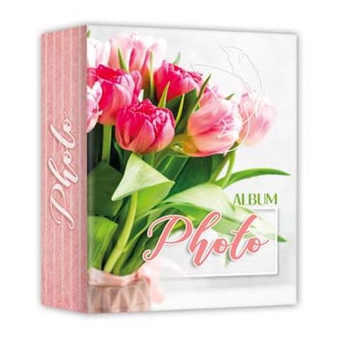Afbeelding laden in galerijviewer, Zep av46100 album slip-in 100 photos 10x15 cm 24 albums
