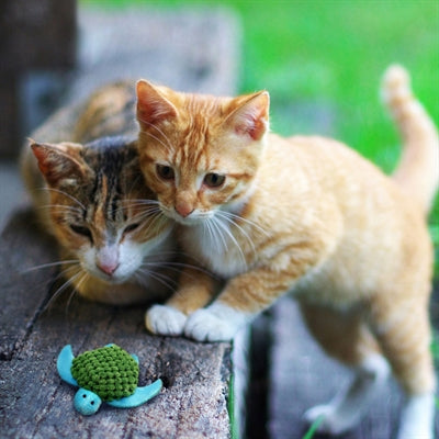 Afbeelding laden in galerijviewer, Kong Kat catnip turtle
