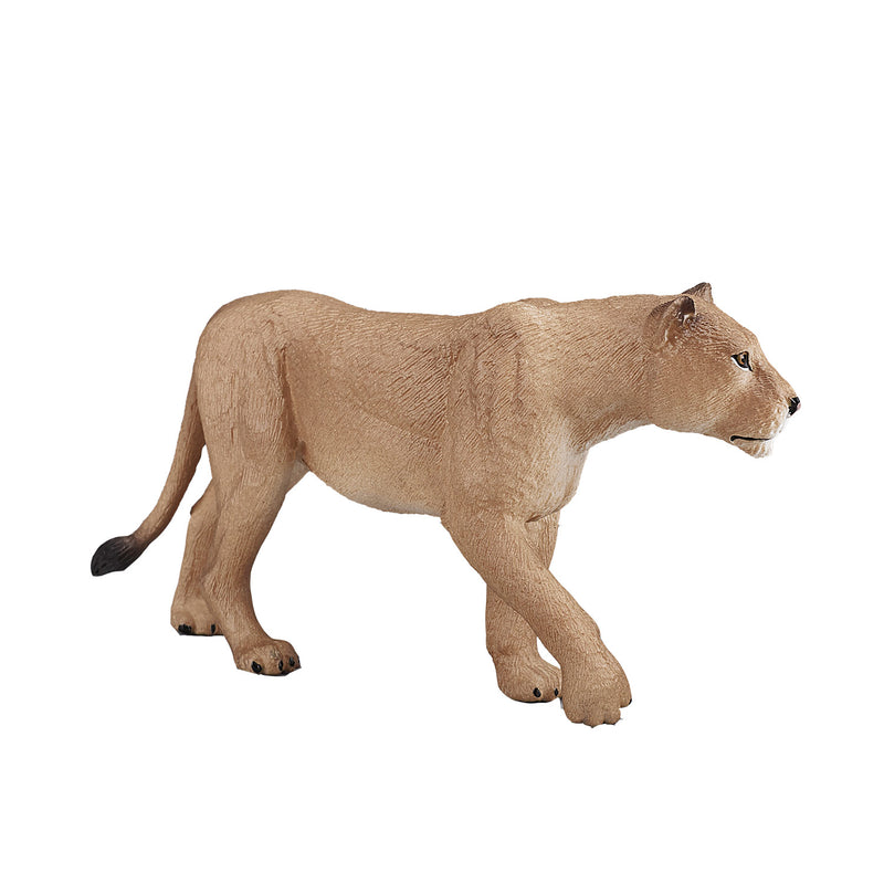 Afbeelding laden in galerijviewer, Mojo Wildlife Leeuwin 387175
