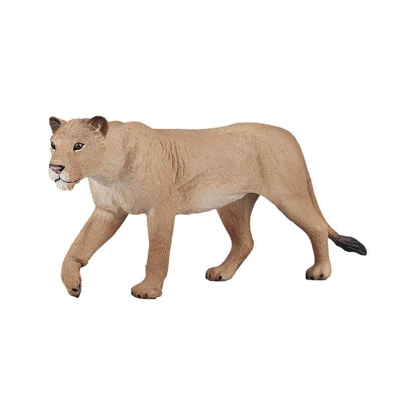 Afbeelding laden in galerijviewer, Mojo Wildlife Leeuwin 387175
