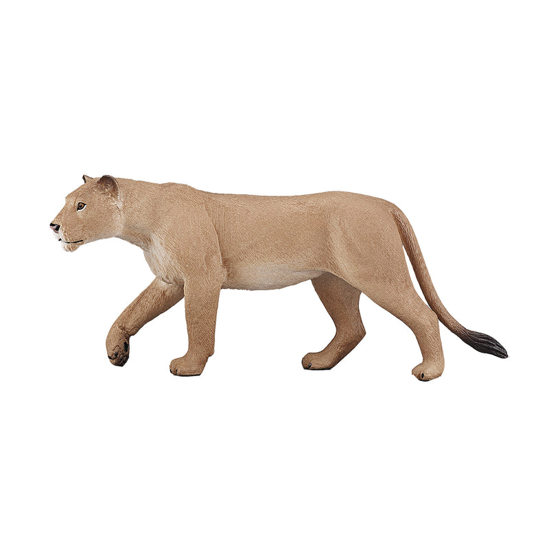 Afbeelding laden in galerijviewer, Mojo Wildlife Leeuwin 387175
