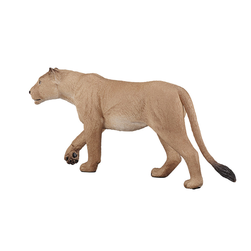 Afbeelding laden in galerijviewer, Mojo Wildlife Leeuwin 387175
