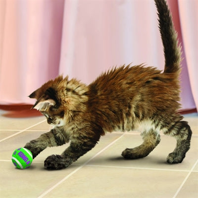 Afbeelding laden in galerijviewer, Kong Kat tennisballen met bellen
