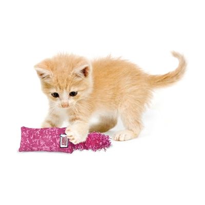Afbeelding laden in galerijviewer, Kong Cat kickeroo kitten assorti
