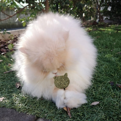 Afbeelding laden in galerijviewer, Croci Euphoria stick catnip kattenkop
